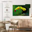 Toucan à soufre-108695574