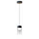 Delonda Single Light Glass Dimmable LED Pendant