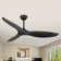 56" Ceiling Fan With Remote Control, 2 Downrods For Indoor Ceiling Fan With Remote, Reversible Noiseless Motor, 3 ABS Blades