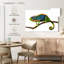 Still Chameleon-107887801