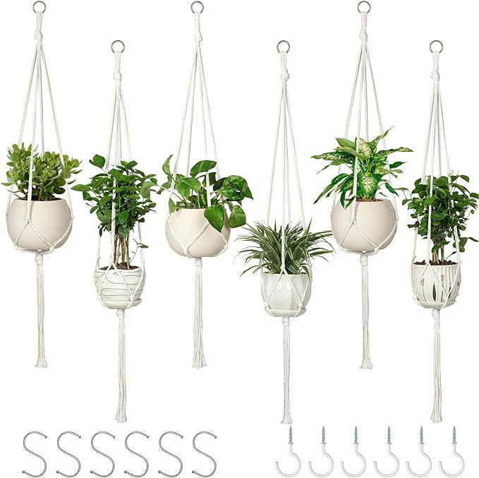 Ayston Planter