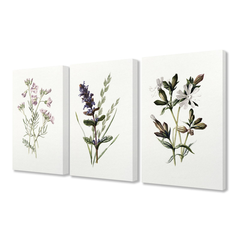 « floral botanique arts », ensemble de 3 reproductions d’impressions, Toile tendue, H 20 po x l 16 po x P 1,5 po