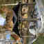 Photos des clients 1 de 1