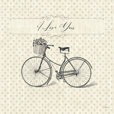 Paris Farmhouse III Bike 1 Piece Wrapped Canvas Wall Art