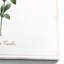 « cape leadwort », reproduction d’art sur toile tendue-22481663
