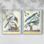 «Pastel Birds V-Premium», reproduction encadrée prête à accrocher - aucun clou requis - aucun clou requis-1461187648-1461187671