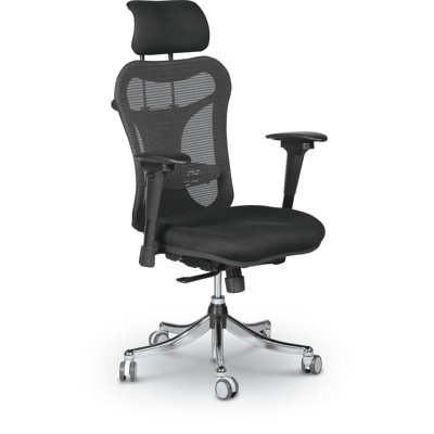 Giannis Task Chair with Headrest