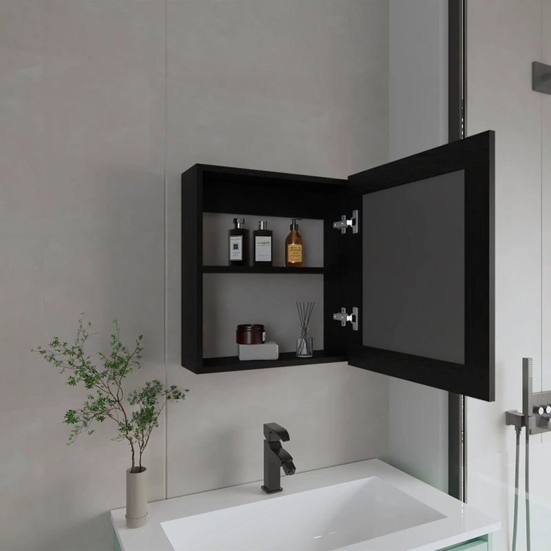 Medicine Cabinet with Included Mirror, Black