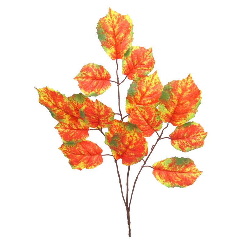 Branche de noisette, Vert / Orange