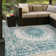 Ornate Lamotte Indoor/Outdoor Area Rug