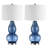 Vesel Glass USB Table Lamp