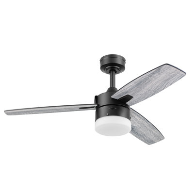Ventilateur de plafond contemporain 42 po avec lumière Conquer