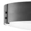 Sawyer 15" Three-Light Outdoor Flush Mount Ceiling Light w/ Etched Glass