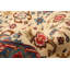 Tapis de couloir unique en laine noué à la main de style nouvel âge 2 pi 6 po x 8 pi Tearsa en crème / bleu foncé / rouge
