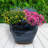 Berlina Round Imperial Ceramic Outdoor Planter