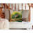 Other/No Pattern Outdoor Throw Pillow-99815360