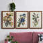 Pl 107 Canada Jay - ensemble de 3 peintures sur toile encadrées-768052230-768052231