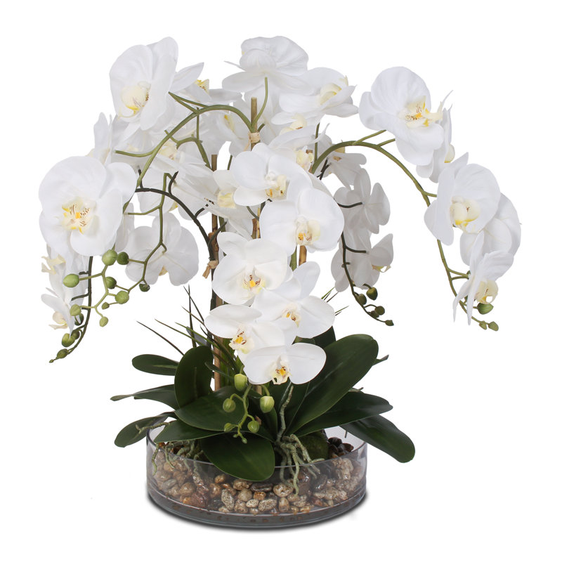 Real Touch Life Like Phalaenopsis Orchid and Vanilla Grass Bush Floral Arrangement