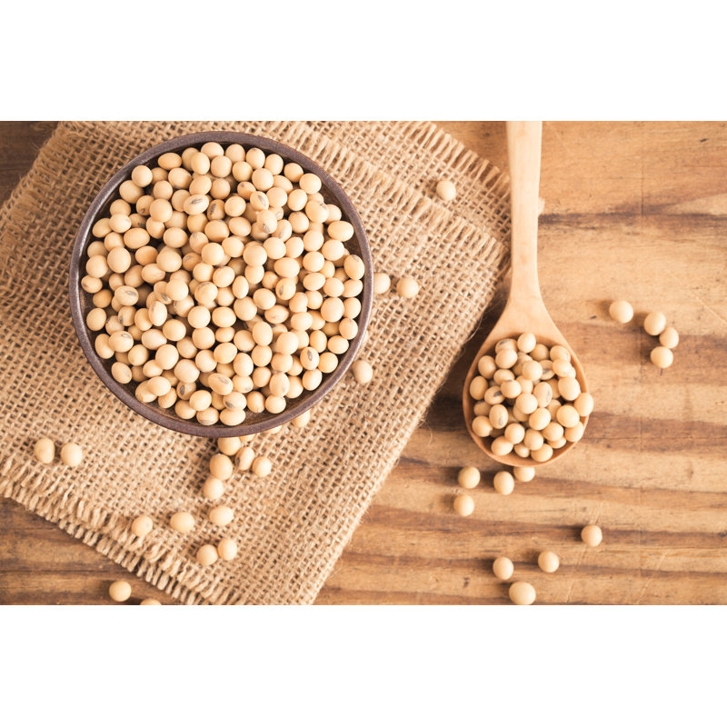 Soybeans - Wrapped Canvas Print, 81cm H x 122cm W x 3.8cm D