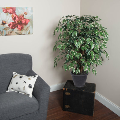 Artificial Variegated Ficus Extra Full Series
