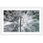 « frozen trees », reproduction de photo encadrée-18346987