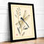 Dragonfly and Seedpod Japandi - Framed Print-1533005800-1533005813