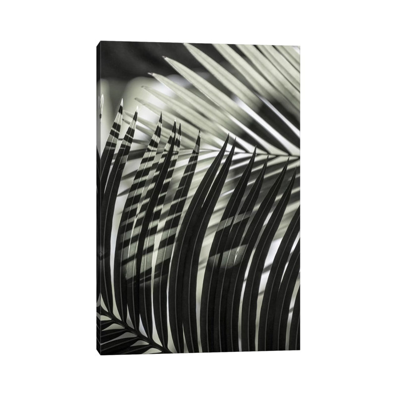 Palmleaves Shades Green by Monika Strigel - Wrapped Canvas Print, 20.32 cm H x 30.48 cm W