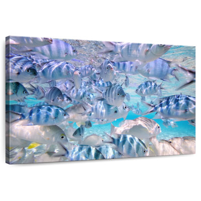 Poisson dans la lagune Aitutaki
