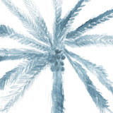 Palm Palms II Print by Barclay Butera