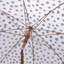 Parasol de 6,5 pi Vroman-1602165282