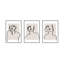 Figure And Form Print by Romina Gadler-395960275-395960274