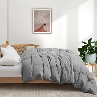 All Season Cotton Down Comforter/Duvet Insert