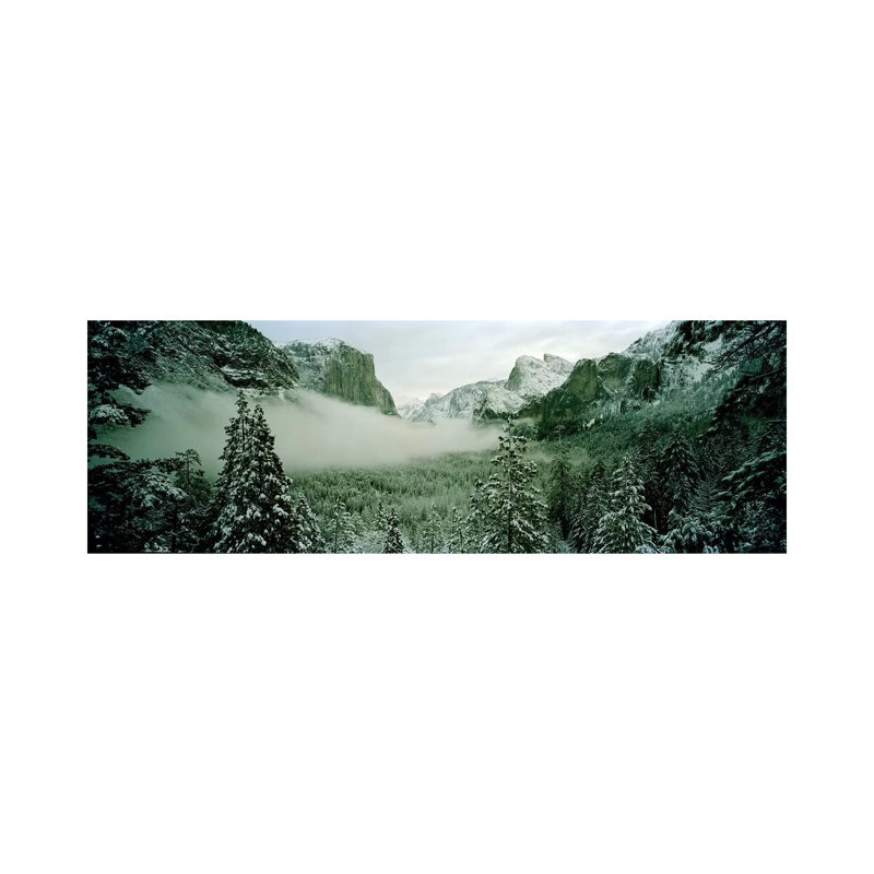 Trees In A Forest, Yosemite National Park, Mariposa County, California, USA - Wrapped Canvas Panoramic Print