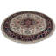 Kellsey Oriental Area Rug in Ivory