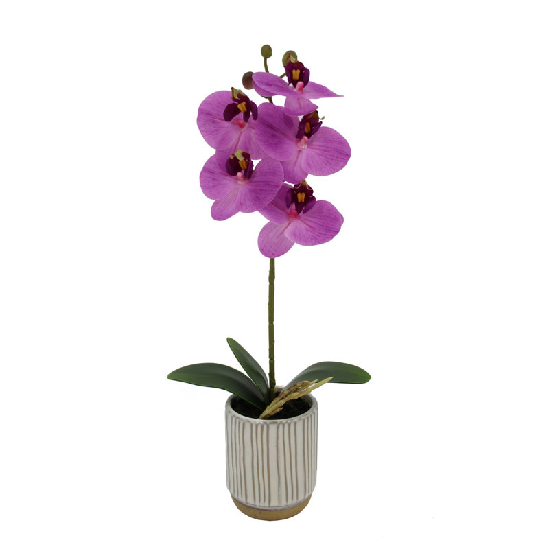 Fuchsia Artificial Orchid in White Ceramic Pot, 16-Inch