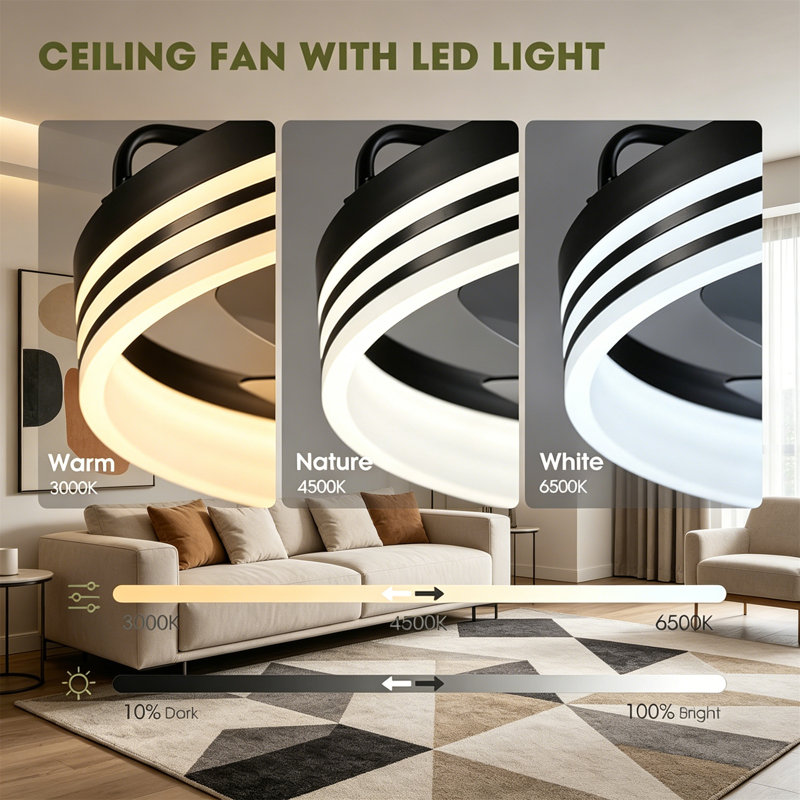 Ceiling Fan