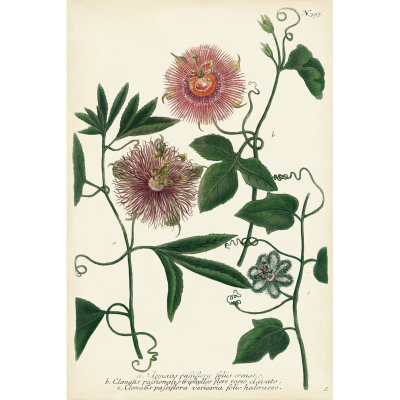 Fleur de passion antique I, H 30 po x l 20 po x P 1,25 po