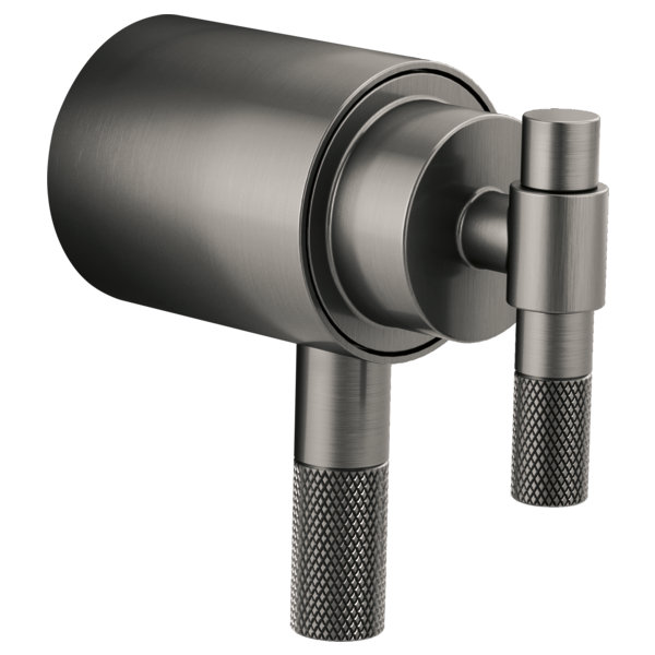 Litze Thermostatic Shower Faucet with TempAssure, Luxe Steel, T-Lever