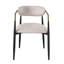 Chaise rembourrée (ensemble de 2)-421353682