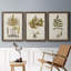 Fern Botanical I - Ensemble de 3 peintures sur toiles encadrées-772660943-772660942
