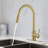 Single Hole Single Handle Pull-Down Kitchen Faucet-117584264