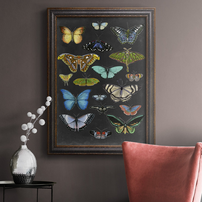 «Graphic Butterfly Taxonomie I», reproduction sur toile encadrée, H 36 po x l 24 po x P 2,5 po
