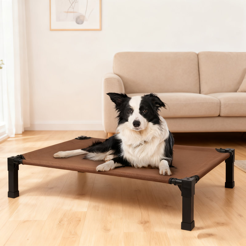 Lit pour chien Cooling Elevated, H 7,4 po x l 35,2 po x P 25 po, Brun