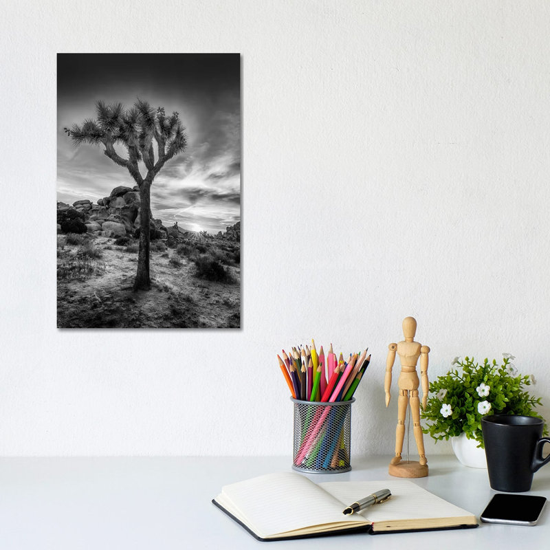Charming Sunset In Joshua Tree National Park by Melanie Viola - Wrapped Canvas Print, 20.32 cm H x 30.48 cm W