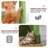 Everee 33" Cat Tree Tower, Green Cactus Cat Tree Condo House with Scratching Posts, Perch, Hammock