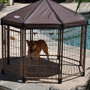 18'' H Panel Metal Yard Kennel With Door
