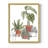 Home Grown I Framed Print - Solid Wood-1021260454-1021260452