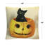 Coussin Cat