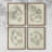 Soft Shape I Framed Print - Set of 4-1650909229-1650909230