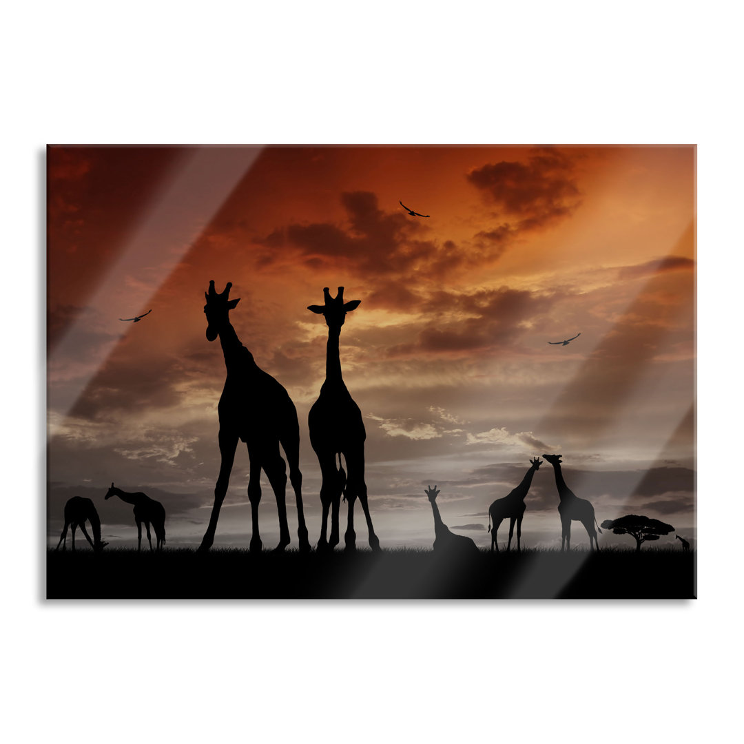 Ungerahmtes Foto auf Glas "African Giraffes in the Sunset"